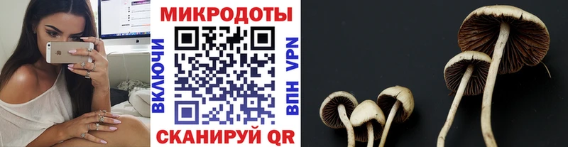 MEGA вход  Алатырь  Псилоцибиновые грибы Psilocybine cubensis 